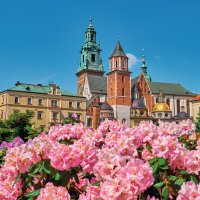 © badahos-fotolia.com