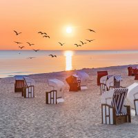 © haiderose - stock.adobe.com