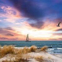 © tilody16 - stock.adobe.com