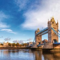 © Dmitry Naumov - stock.adobe.com
