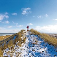 © artfocus - stock.adobe.com