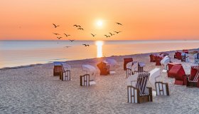  © haiderose - stock.adobe.com