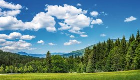  © bietau - stock.adobe.com