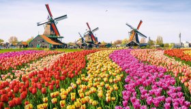  © Olena Zn - stock.adobe.com