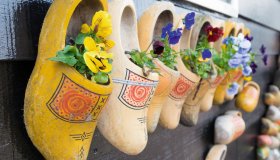  © hansenn - stock.adobe.com