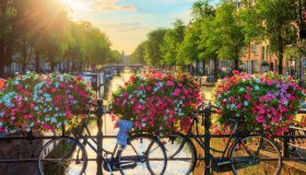  © dennisvdwater - stock.adobe.com
