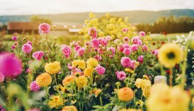  © annanahabed - stock.adobe.com