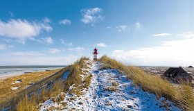  © artfocus - stock.adobe.com