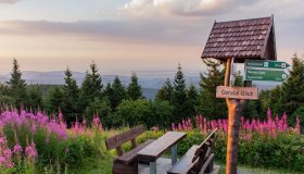  © Oliver Hlavaty - stock.adobe.com