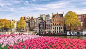  © Noppasinw - stock.adobe.com