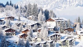  © swisshippo - stock.adobe.com
