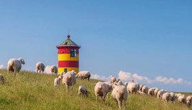 © AnnaReinert - stock.adobe.com