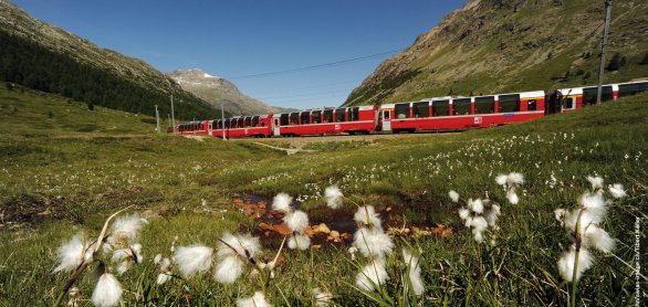 Bernina Express auf dem Berninapass © Rhaetische Bahn/swiss-image.ch/Tibert Keller