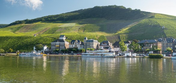 Aussicht über die Mosel auf den Stadtteil Bernkastel © Rheinland-Pfalz Tourismus GmbH/Dominik Ketz