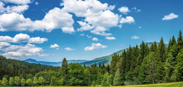 Grosser Falkenstein und Grosser Arber im Bayerischen Wald © bietau - stock.adobe.com