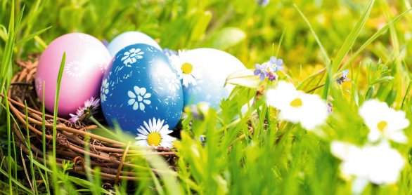 Happy Easter  -  Nest with easter eggs in grass on a sunny sprin © Floydine - stock.adobe.com