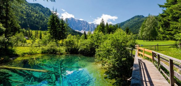 Teich mit Bäumen auf der Alm © MichaelStabentheiner - stock.ado