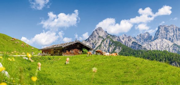 Idyllic alpine cottage in front of impressive mountain range, Li © auergraphics - stock.adobe.com