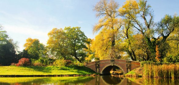 Woerlitzer Park Friederikenbruecke 04 © LianeM - stock.adobe.com