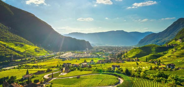 Vineyards view in Santa Maddalena Bolzano. Trentino Alto Adige S © stevanzz - stock.adobe.com