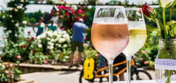 Two glasses of White Wine with Roses in the Background in Eltvil © Kevin Mierlita - stock.adobe.com